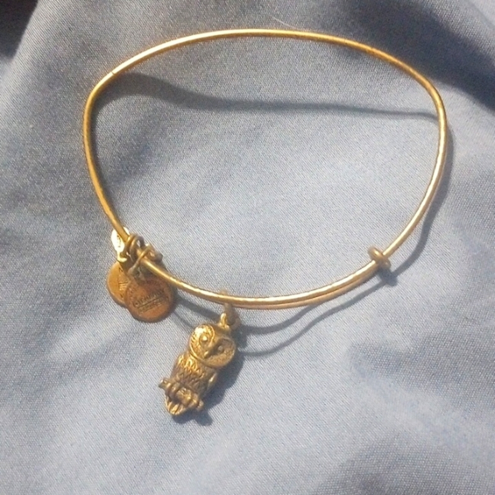 Alex and Ani Owl